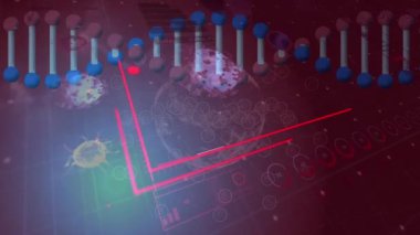 Animation of virus cells over dna strand and data processing with graph on red background. Global covid 19 pandemic and digital interface concept digitally generated video.