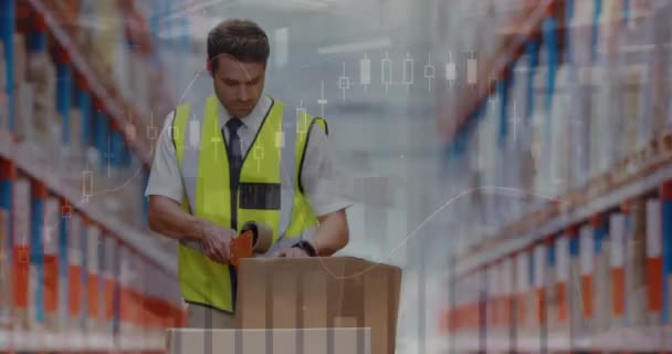 Animation Data Processing Caucasian Male Supervisor Packing Delivery Box Warehouse — Vídeo de stock