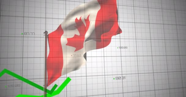 Animation Financial Graphs Data Flag Canada National Finance Politics Economy — Vídeo de Stock