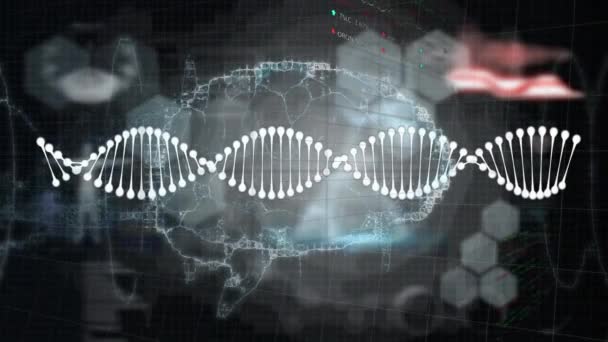 Animation Digital Screen Scientific Data Dna Brain Science Human Biology — Stock video