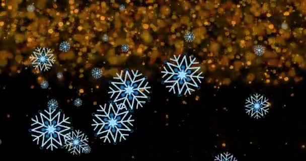 Animation Snowflakes Light Spots Black Background Winter Light Movement Concept — Stockvideo