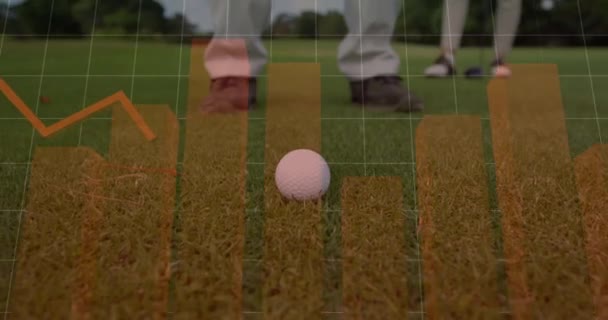 Animation Statistical Data Processing Mid Section Man Playing Golf Golf — Vídeo de stock