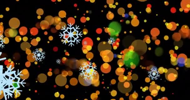 Animation Snowflakes Light Spots Black Background Winter Light Movement Concept — Stock video