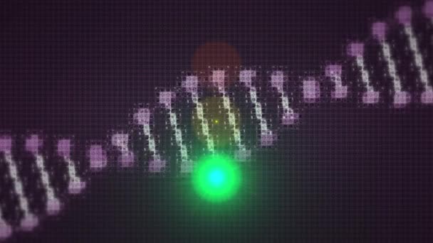 Animation Dna Strand Traffic Lights Dark Background Global Science Connections — Wideo stockowe