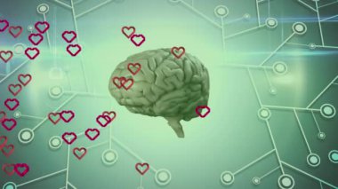 Animation of red hearts and network of connections with human brain. global social media, love, networking, connections and digital interface concept digitally generated video.