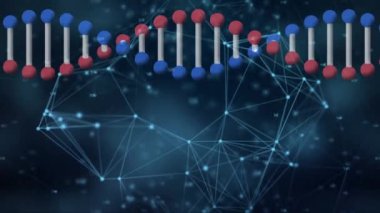 Animation of digital screen with dna, globe and connections. Data processing, network, connections and digital interface concept digitally generated video.