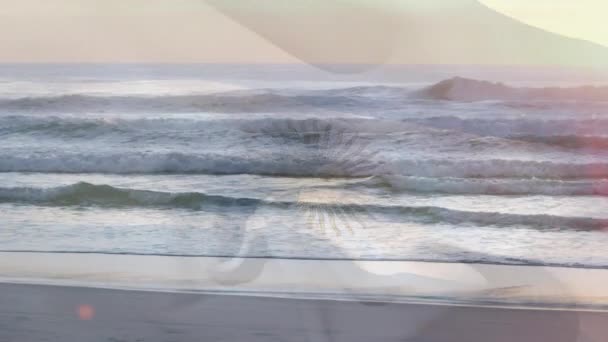 Composite Video Waving Argentina Flag Beach Sea Waves National Tourism — Vídeos de Stock