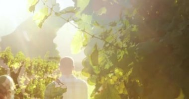 Bahçede el ele tutuşan çiftlerin dikiz aynasındaki yaprakların birleşik videosu. Aşk ve ilişki kavramı