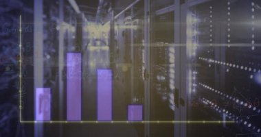 Animation of graphs and lights over servers. Network, finance, connections and technology concept digitally generated video.