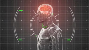 Animation of glitch over viewfinder and human model with brain on grey background. Science, human biology and technology concept digitally generated video.