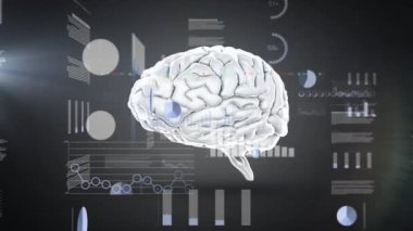 Animation of graphs and data over brain on grey background. Science, human biology and technology concept digitally generated video.