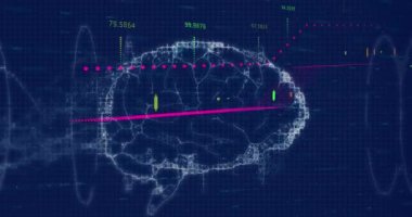 Animation of human brain spinning and medical data processing. Global education celebration new years eve and digital interface concept digitally generated video.