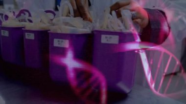 Animation of dna strand over biracial female scientist in lab. Global science, computing and digital interface concept digitally generated video.