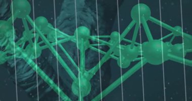 Animation of dna strand over blue background. Global science, connections, data processing and digital interface concept digitally generated video.