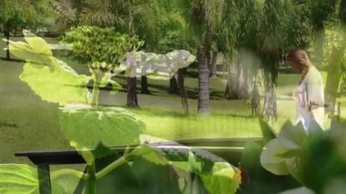 Composite video of close up of leaves against caucasian woman walking in the garden. nature concept
