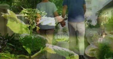 Bahçede el ele tutuşan yaşlı bir çiftin yapraklarının birleşik videosu. Aşk ve ilişki kavramı