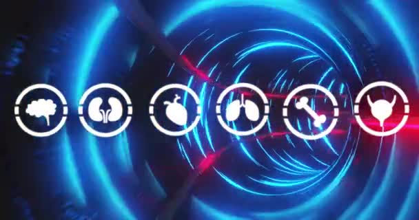 Animation Human Body Icons Tunnel Made Neon Lights Science Human — Stock videók