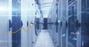 Animation of graphs and lights over servers. Global network, connections, communication, data processing, finance and technology concept digitally generated video.
