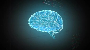 Animation of graphs and data over brain on blue background. Science, human biology and technology concept digitally generated video.
