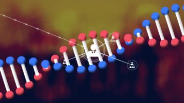 Animation of network of connections with people icons over dna strand spinning. Global data processing, science and digital interface concept digitally generated video.