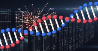Animation of graphical dna helix rotating with firework exploding against abstract background. Digitally generated, multiple exposure, celebration, genetic and medical concept.