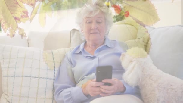 Leaves Tree Branch Caucasian Senior Woman Using Smartphone Playing Her — Stock video