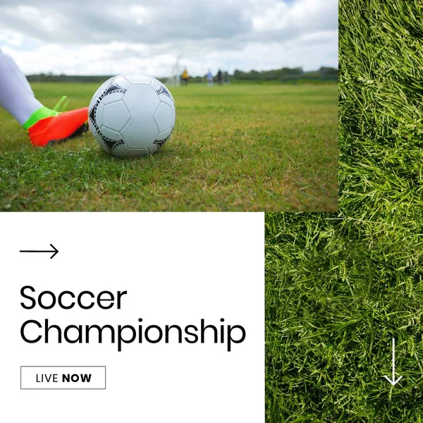 Image Soccer Championship Leg Male Soccer Player Field Sport Soccer — 图库照片