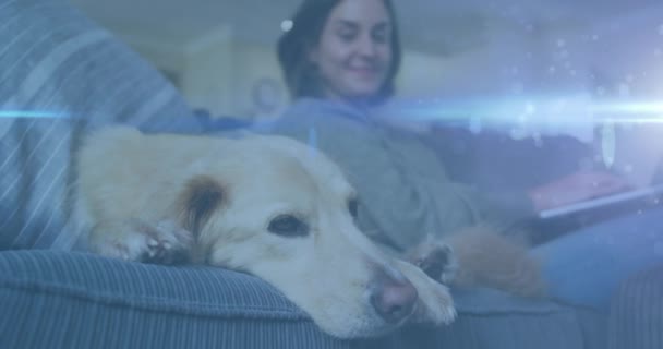 Blue Light Trails Caucasian Woman Using Laptop While Dog Sleeping — Stock video