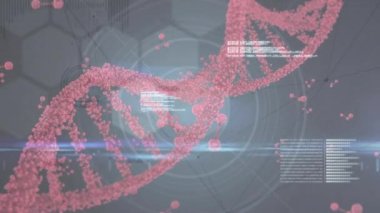 Animation of dna strand communication network and scanner processing data. Global communication, research, medical services, data and digital interface concept digitally generated video.