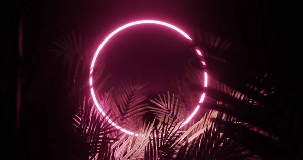 Image Leaves Pink Neon Circle Black Background Light Pattern Movement — 图库照片