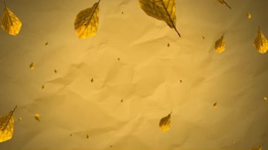 Animation of yellow autumn leaves falling over yellow textured paper background. Nature, creativity and change, abstract background concept digitally generated video.