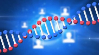 Animation of light spots over dna strand and data processing. Global business and digital interface concept digitally generated video.