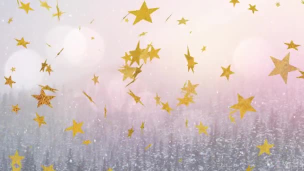 Анимация Боке Звезд Снега Падающих Над Зимним Лесом Зима Праздники — стоковое видео