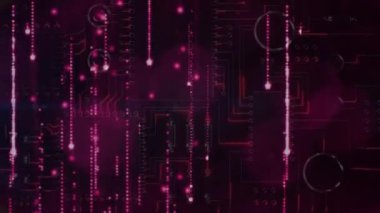 Animation of glowing pink lights falling over processing data on dark background. Global communication, business, data and digital interface concept digitally generated video.