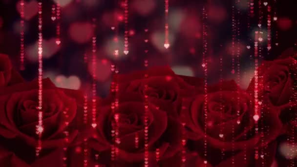 Animation Heart Icons Falling Roses Valentines Day Celebration Concept Digitally — Stok Video