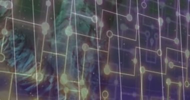 Animation of dna strand over moving shapes. Global business and digital interface concept digitally generated video.