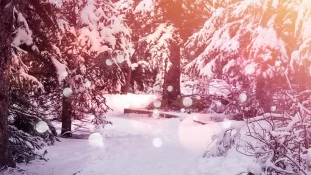 Animation Digital Lens Flare Snow Falling Snow Covered Road Amidst — Stock Video