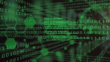 Animation of human brain, hexagons and globe with looping binary codes and computer languages. Digitally generated, hologram, database, anatomy, futuristic and technology concept.