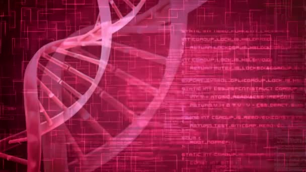 Анімація Dna Спіраль Обертається Над Мовою Програмування Над Рухом Циклі — стокове відео