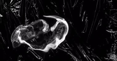 Animation grey ring of smoke over light on moving shiny black plastic. Creativity, imagination and change, monochrome abstract background concept digitally generated video.