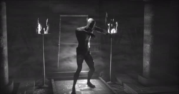 Animation Scary Zombie Mummy Walking Dark Crypt Room Burning Torches — Vídeos de Stock