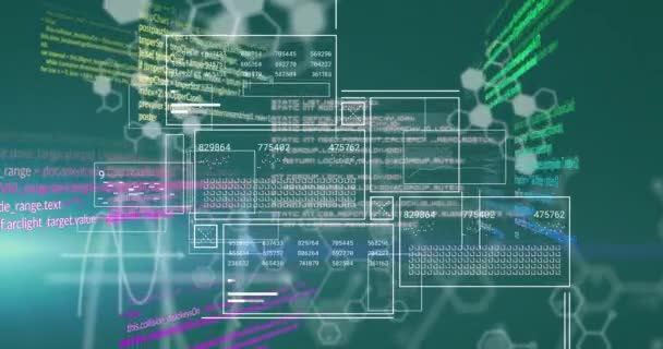 Animation Digital Interface Database Hexagonal Shapes Computer Language Hologram Digitally — 비디오