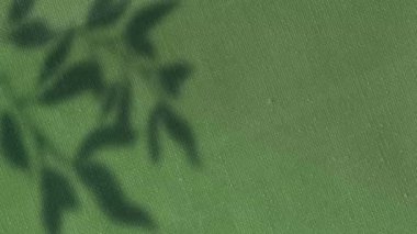 Animation of leaf shadows swaying over changing green canvas texture. Nature, energy and change, abstract background concept digitally generated video.