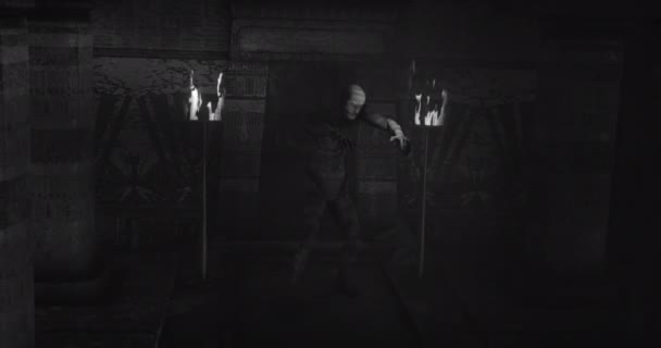 Animation Scary Zombie Mummy Walking Dark Crypt Burning Torches Black — Stok video