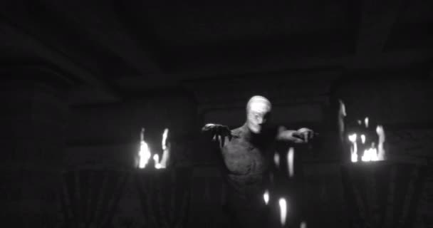 Animation Scary Zombie Mummy Walking Dark Room Burning Torches Black — Wideo stockowe