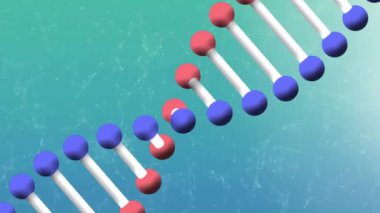 Animation of dna structure with connecting dots in background, loop video. Motion graphics, futuristic, science, connection, networking.