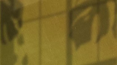 Animation of leaf shadows swaying over changing brown canvas texture. Nature, energy and change, abstract background concept digitally generated video.