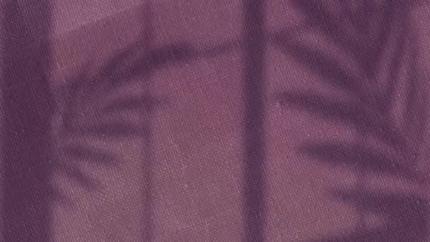 Анімація Тіней Пальмового Листя Ширяє Над Зміною Фіолетової Текстури Полотна — стокове відео