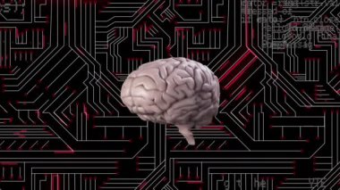 Animation of data processing and digital brain over computer circuit board on black background. Global technology and digital interface concept digitally generated video.