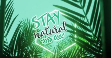 Animation of stay natural text and logo in white hexagon, with palm leaves on aqua blue background. Eco awareness, green living and communication, retro future concept digitally generated video.